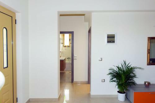 Stelia Luxury Apartments