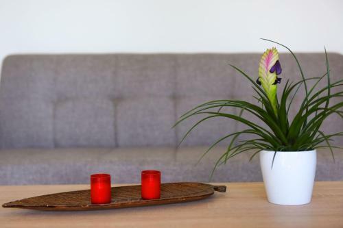 Stelia Luxury Apartments