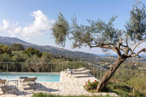 Villa Yellow Stone By Rodostamo Hotel