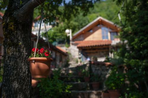 Hostal Robinson Sunset Guest House