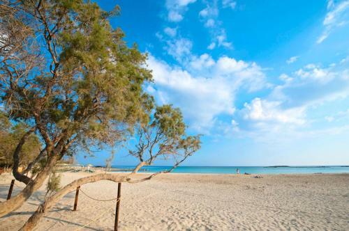 Hotel Chania Design Suites