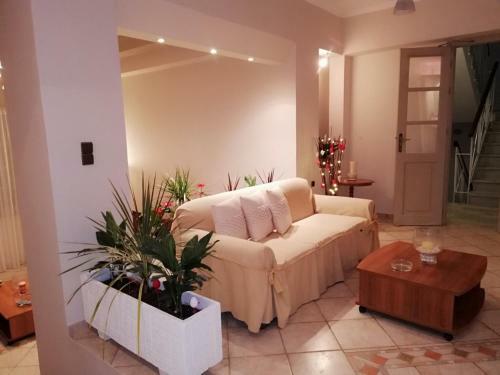 Hotel Apollon Palace