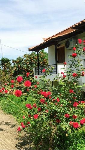 Agroturismo Anastasia Apartments