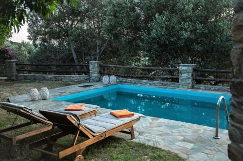 2ag252-house With A Pool In Andros