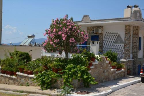 Traditional Summer House In Marmari