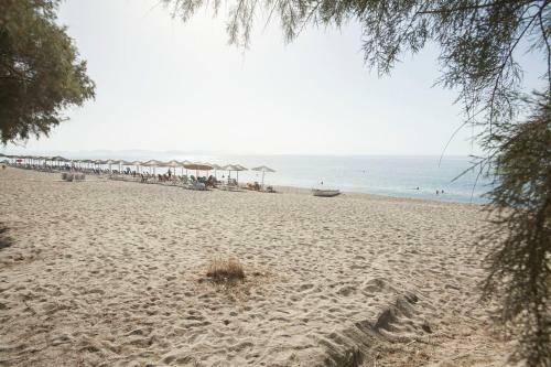 Panagiota Apartments