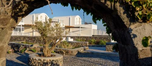 Hotel Soil Of Sun Luxury Villas