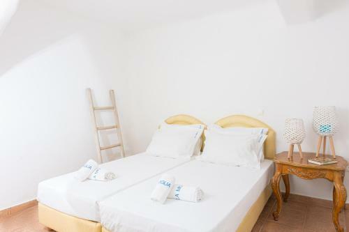 Villa Miglia Mykonos