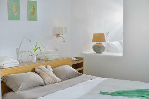 Simone Elmina Villas In Mykonos