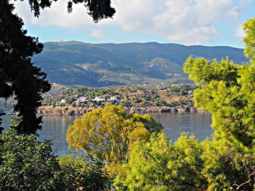 Poros Pine Villa