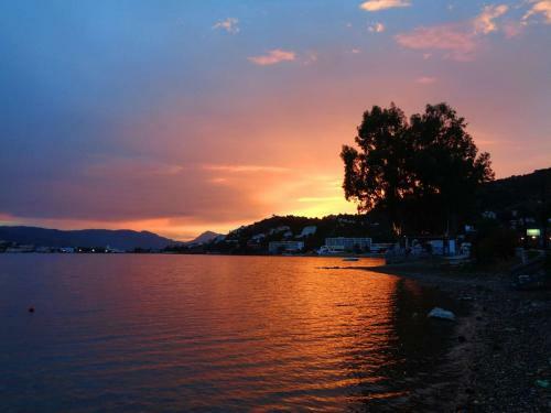 Poros Pine Villa