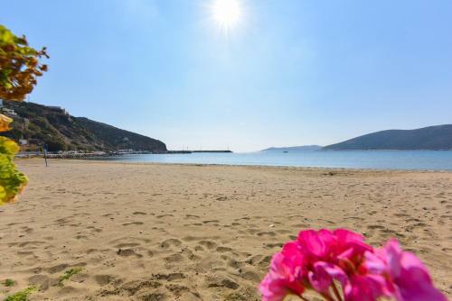 Miles Away Sifnos - Beachfront House