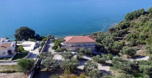 Hostal Plataria Palace