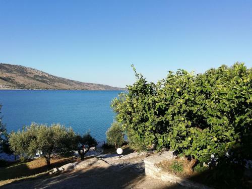 Hostal Plataria Palace