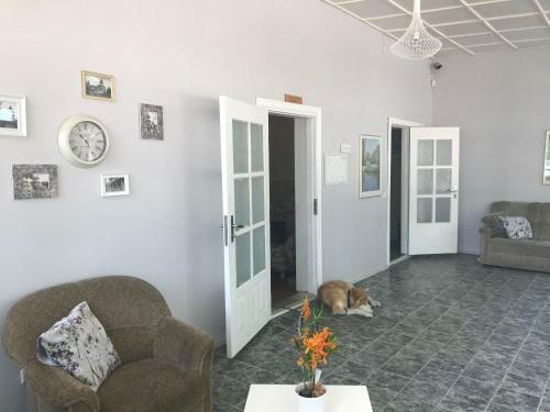 Hostal Druspolis