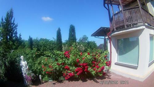 Apartamento Family Hotel