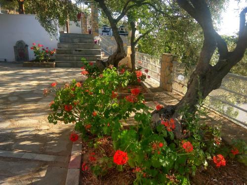 Apartamento Karantola Studios Kallirachi