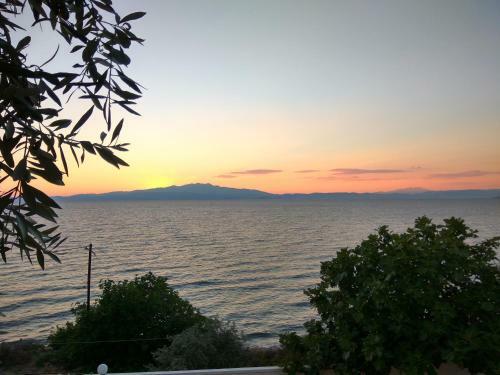 Apartamento Karantola Studios Kallirachi