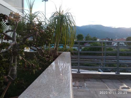 Apartamento Boutique Pelayo