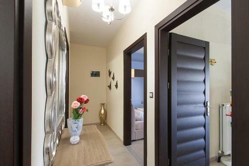 Luxury Townhouse And Town Apartment