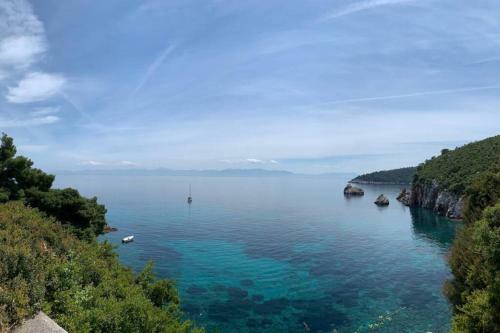 Nisaia