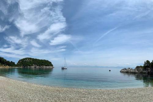 Nisaia