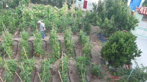 Apartamento Pension Soula