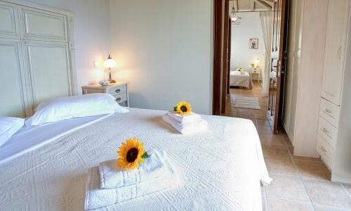 Villa In Spanochori Sleeps 6 With Pool And Air Con
