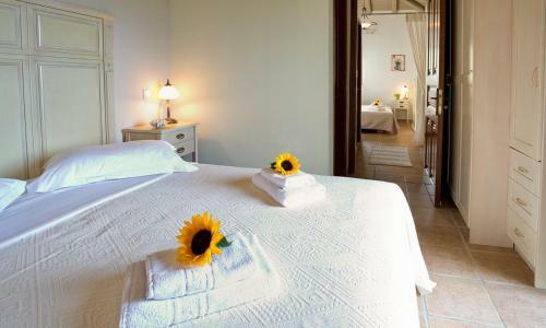Spanochori Villa Sleeps 4 With Pool And Air Con