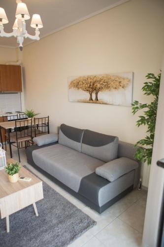 Kosmos Service Apartment Extra Hygiene Open View 1