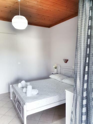 Hostal Orange Apartments