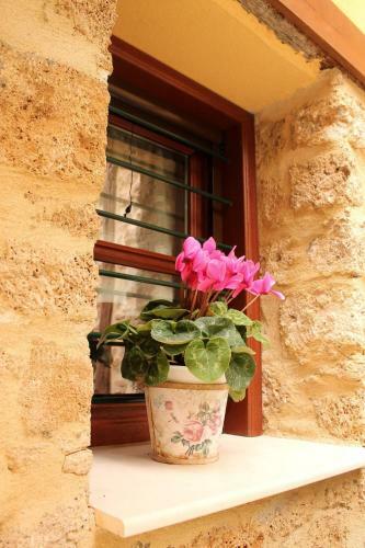 Hostal The House By The River Luxury Villa