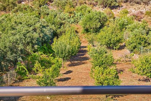 Villa Charma - Wonderful Villa With Private Pool And Garden