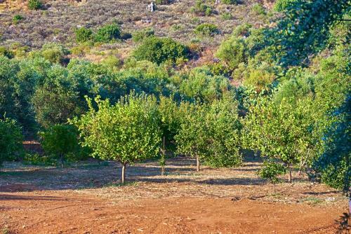 Villa Charma - Wonderful Villa With Private Pool And Garden