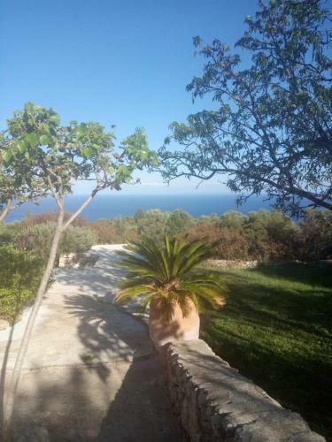 Authentic Greek Cottage- Daisy- Great Sea Views