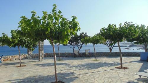 Paraktio Beach Apartments
