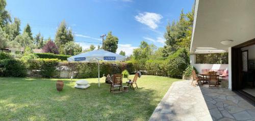 Peekaboo Shared Pool Villa