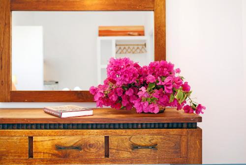 Bed & Breakfast Agistri Apartments