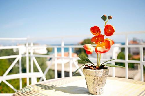 Bed & Breakfast Agistri Apartments