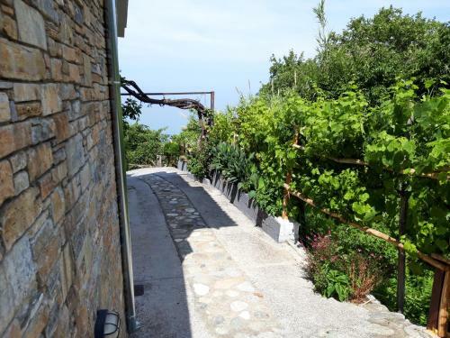 Apartamento Ammos Papanero