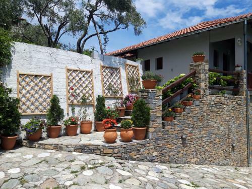 Apartamento Ammos Papanero