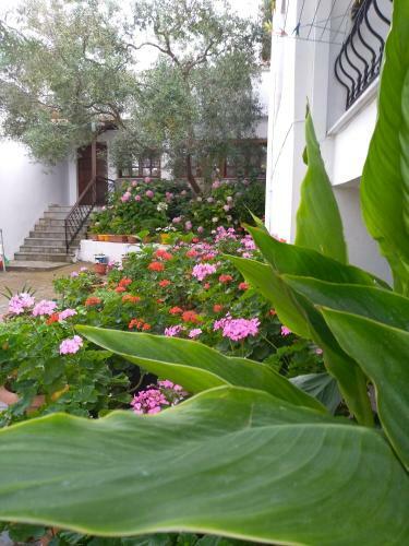 Apartamento Makedonia