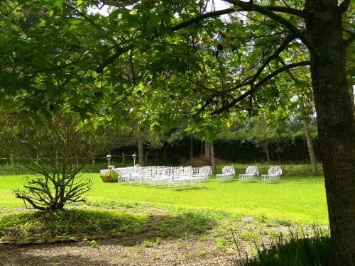Hotel Y Resort Quinta Del Sol