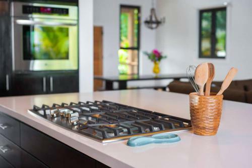 Villa Vivaro Roatan North House