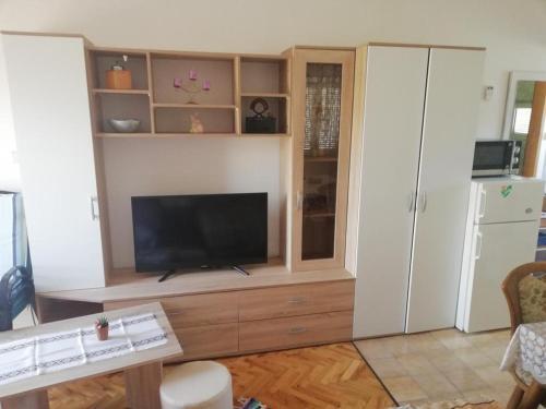 Studio Apartment In Vir (4776-3)