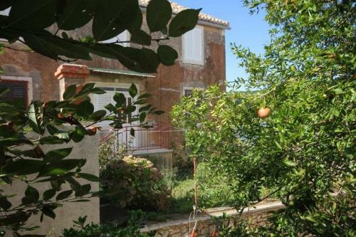 Apartments Zoki - Great Location