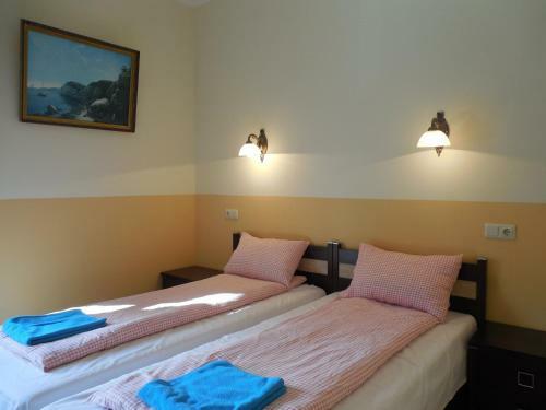 Gogol Park Hostel