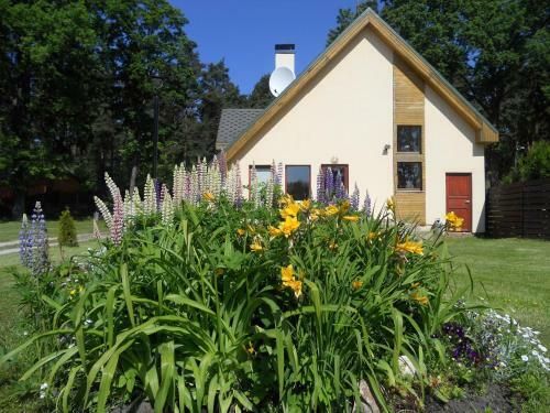 Forest Edge Lodge And House