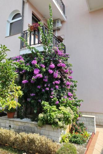Apartman Sweet Mary