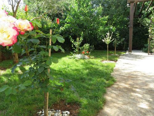 Apartamento Fantastic Studio Angie In Flower Garden